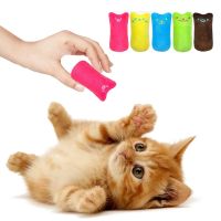 Funny Cat Pet Toys Molar Cleaning Cat Supplies Catnip Mini Plush Toys Fashion Stuffed Interactive Pet Companion Products