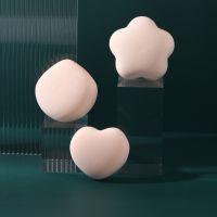 Makeup Sponges Foundation Blending Beauty Sponge Dry Wet Use for Powder