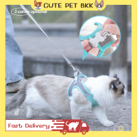 ?Cute Pet BKK? สายจูง สายจูงแมว สายจูงสัตว์เลี้ยง ชุดรัดอก สำหรับแมว สายจูงแมวราคาถูก สายจูงรัดอกแมว ปรับขนาดได้ มีหลายสี หลายไซส์