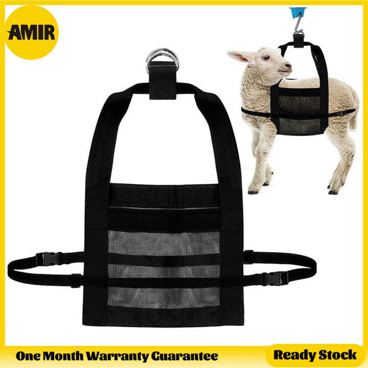 AMIR Calf Holding Weigh Sling, Adjustable Nylon Weigh Sling for Lamb ...