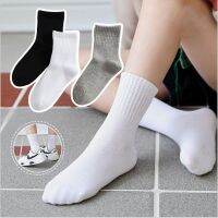 5Pairs/Lot Kids Pure White Sock Baby Boy Girl Solid Breathable Cotton Sport 1-12years