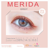 Merida Gray TATOTO Contact Lenses ของแท้100% มีอย.ไทย