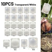 10pcs 5/8CM Plant Rooting Equipmen High Pressure Propagation Ball Graft Breeding Case Plant Root Growing Planting Nursery Ball