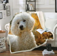 Poodle dog 3D print fashion fleece blanket bed bedspread Sherpa blanket T033