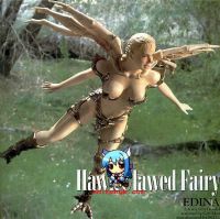 Girl Wild Hawk Girl Fairy Edina เหยี่ยวสาว เอดิน่า 1/6 ไวนิล โมเดล ฟิกเกอร์ vinyl model Figure