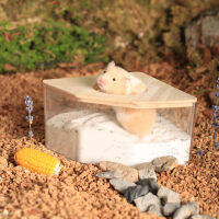 Hamster Sand Bathroom Clear กล่องทรายอาบน้ำหนูแฮมสเตอร์ประหยัดพื้นที่สำหรับสัตว์เล็ก