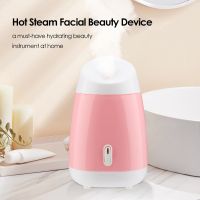 Hot Steam Facial Beauty Device Fruit Vegetable Steamer Household Spray Moisturizing Atomizing Steaming Instrument Skin Care