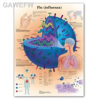 สาย ₪❇แผนภูมิไข้หวัดใหญ่ WANGART แผนที่โปสเตอร์พิมพ์ลายศิลปะแผนที่ร่างกายภาพผนังผ้าใบสำหรับการตกแต่งบ้านการศึกษาทางการแพทย์