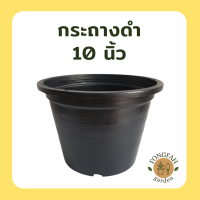 กระถางดำ 10 นิ้ว กระถาง 10 นิ้ว กระถางต้นไม้ ราคาถูก กระถางพลาสติกราคาโรงงาน กระถางวินเทจ กระถาง10นิ้วถูกๆ กระถางพลาสติก กระถาง