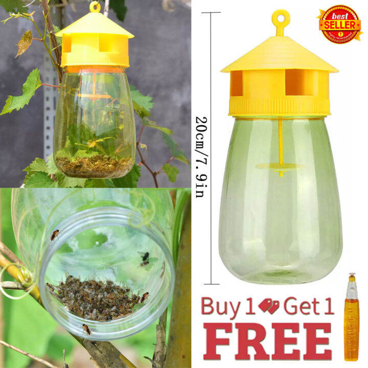 【High Quality】fruit flies fruit fly trap zero in refills white fly ...