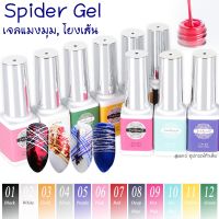 Spider Gel สีเจลแมงมุม ใช้โยงเส้น ยกเซ็ต 12 ขวด