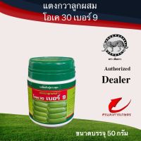 เมล็ดพันธุ์ แตงกวา โอเค30 เบอร์9 50g