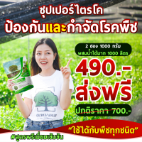 ซุปเปอร์ไตรโค ( ไตรโคเดอร์มา)แบบผง 500 กรัม เพาะเชื้อจากห้อง LAB ของแท้ พร้อมใช้ ปลอดภัย 100 % แพ็ค 2 ซอง