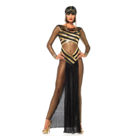 ?? Performance clothing~ Sexy Egyptian dress night dance costume womens cosplay costume tulle skirt tight dress nightclub uniforms