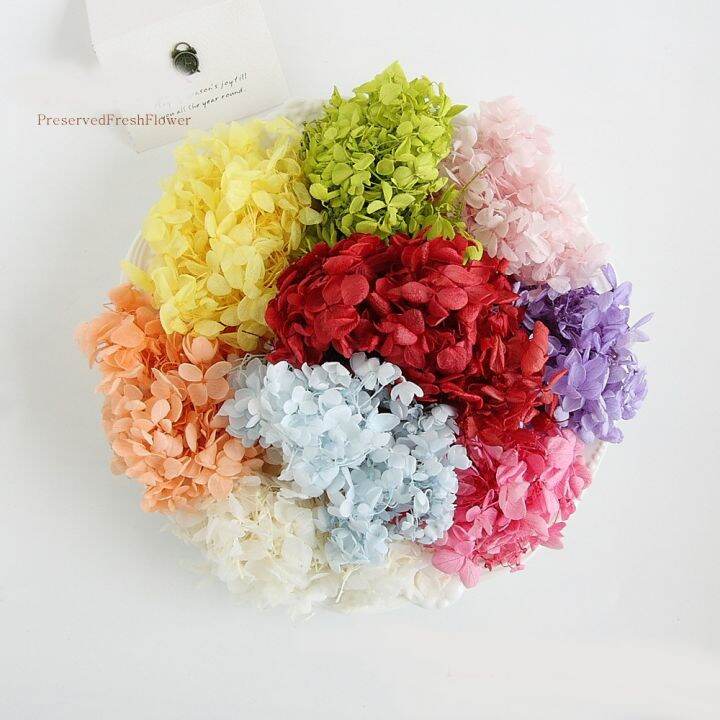 Dried Hydragea mini bouquet for resins/ crafts DRIED FLOWER BAZAAR Lazada PH