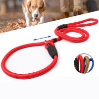 DFSID 3 Colors Adjustable Rope Slip Lead Training Rope Collar Pet Strap Traction