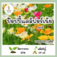 เมล็ดพันธุ์ ป๊อปปี้แคลิฟอร์เนีย คละสี 200เมล็ด