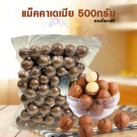 MO แม็คคาเดเมีย 500g อบพร้อมทาน แบบมีเปลือก แมคคาเดเมีย (แถมที่แกะเปลือกฟรี) ธัญพืชเพื่อสุขภาพ ราชาแห่งถั่ว