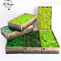 100g Simulation Artificial Moss Green Preserved Moss Grass Fake Plant Home Wall Garden Decor Micro Landscape Material DIY Crafts