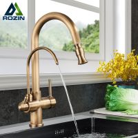 【hot】 Rozin Filter Faucet 2 1 Antique Pull Out Nozzle Purification Ways Swivel Mixer