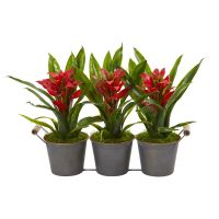 กระถางต้นไม้ประดิษฐ์ Bromeliad ในกระถางตกแต่ง