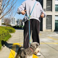 【DT】Reflective Dog Leash Hands Free Nylon Strong Pet Lead Belt Outdoor Running Training Chain Traction Rope for Small Large Dogs New hot 1