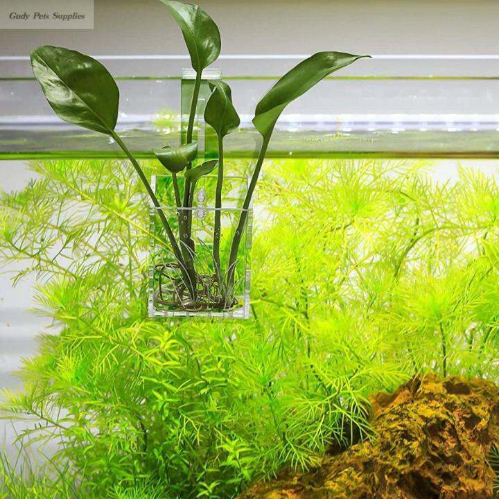 GUDY Wall Hanging Aquarium Plants Cup Transparent Floating Aquatic