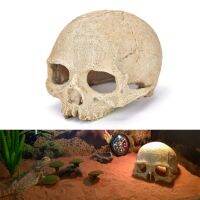 【CW】Artificial Resin Skull Shelters for Aquarium Reptile Box Creative Scary Ornaments Vivid Dinosaur Skull Aquarium Accessories