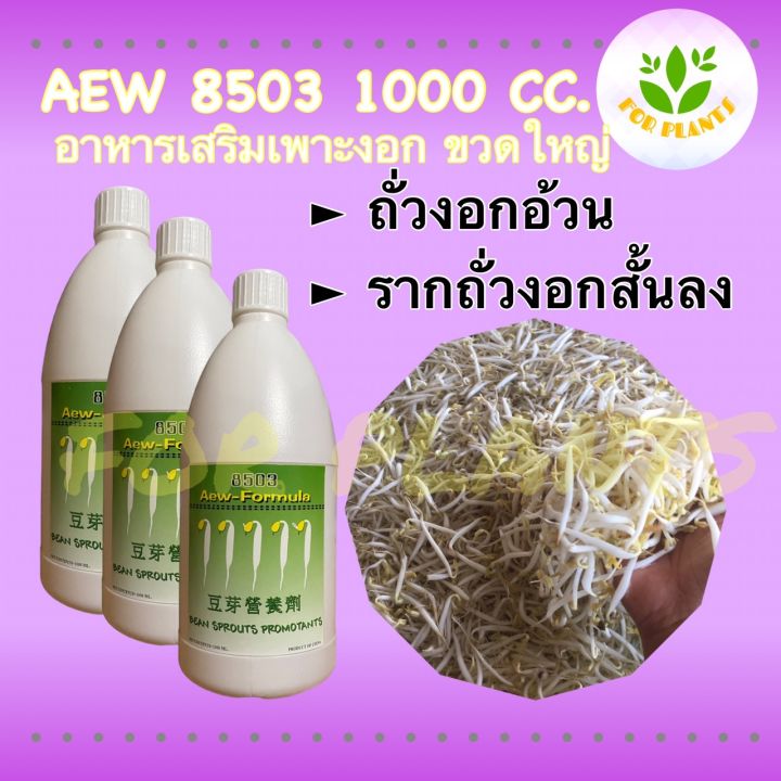 forplants-เซตทรีโอ-8503-ฮอร์โมน8503-ขวดใหญ่-1000มิลลิลิตร-จำนวน-3-ชิ้น-ฮอร์โมนถั่วงอก-เพาะถั่วงอก-ควรใช้คู่-8503ขวดเล็ก-ถั่วงอกอ้วน-ถั่วงอกรากสั้น