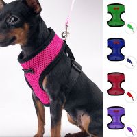 Adjustable Cat Dog Harness With Leash Pet Vest Strip Pet Chest Straps Nylon Mesh Puppy Harness For French Bulldog Chihuahua Pug Leashes