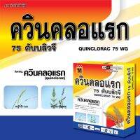 ควินคลอแรกกล่องทอง 75%ดับบิวจี กำจัดหญ้าข้าวนก ลิเก หญ้าดอกขาว พุ่มพวง ขนาด 100กรัม