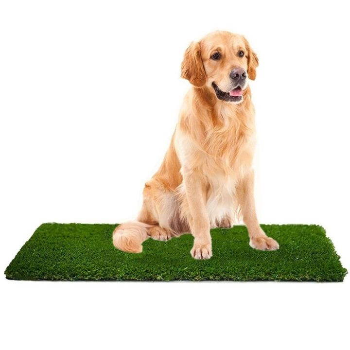 best-selling-pets-mart-mall-professional-dog-mat-outdoor-potty-training-dog-pad-สำหรับสุนัขขนาดกลางขนาดใหญ่ในร่ม-natural-dog-bed