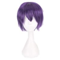 Purple Short Cosplay Wig Men Male Party Costume High 100 Temperature Fiber 30cm Synthetic Hair cosplay Wigs