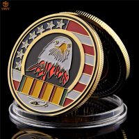 Vietnam War Brother Home Brother May You Never Walk Alone Again Military Gold Plated / Silver Commemorative Coin Collectible