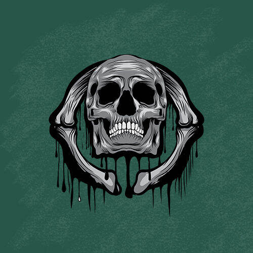 ตัวรีดติดเสื้อ-ลายเสื้อ-ลายเสื้อเท่ห์ๆ-f-130-set-15-skull-ตัวรีดติดเสื้อแผ่นฟิล์มรีดร้อน