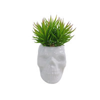 HXGYZP พืชปลอม Succulents ประดิษฐ์ในหม้อ Skull Potted Plant สำหรับบ้านในร่มกลางแจ้ง Decor ของขวัญตกแต่งฮาโลวีน