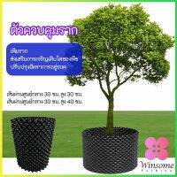 Winsome กระถางเร่งรากโต กระถางมีรู มี 2 ขนาด