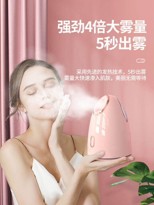 Face Steamer Hot and Cold Double Spray Small Sprayer Beauty Instrument