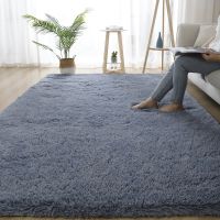 Grey Living Room Large Carpet Hall Coffee Table Floor Mat 160x230 Childrens room Bedroom Long Hair Fluffy Floor Covering Rugs