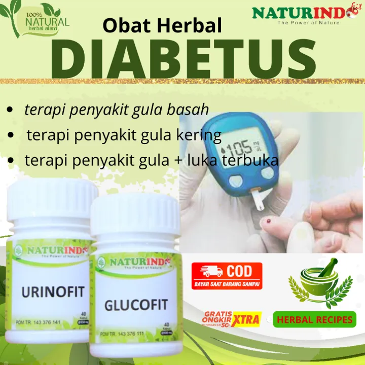 Obat Diabetes Mellitus Herbal Penurun Kadar Gula Dalam Darah Penyakit Gula Basah Kering Ada Luka 8854