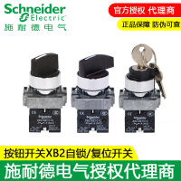 Button Switch Schneider Selection Switch Xb2b Series Self-Locking/Reset/Short/Long Handle/Key Switch