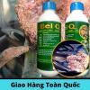 2 chai dịch trùn quế đậm đặc eel q cho lươn, cá và baba  1 lít chai - ảnh sản phẩm 1