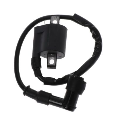 12V รถจักรยานยนต์ Ignition Coil เปลี่ยนชิ้นส่วนสำหรับ150cc 200cc 250cc A Scooter Moped Gokarts Dirt Bike Motor