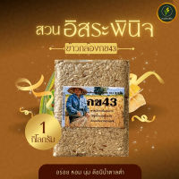 !!ดัชนีน้ำตาลต่ำ!! สวนอิสระพินิจ ข้าวกล้องกข43 ข้าวกล้อง ปลอดสารพิษ แพ็คสูญญากาศ 1 กิโลกรัม