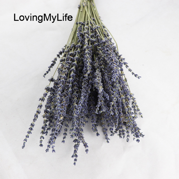 lovingmylifome-ก้านดอกลาเวนเดอร์แห้งธรรมชาติมัดเป็นลาเวนเดอร์แห้งสำหรับกำจัดวัชพืชในบ้านการเตรียมดอกไม้ประดับกลิ่นหอมในบ้าน