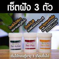 เซ็ตฝัง 3 ตัว แบรนด์ Nature Life (ปุ๋ยฝังไม้เขียว ปุ๋ยฝังไม้สี แคปซูลแบคทีเรีย)