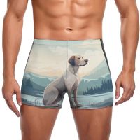 Dog Swimming Trunks Vector Flat Animals Print Pool Swim Boxers Large Size Elastic Man Swimwear Swimwear