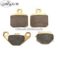 Motorbike Brake Motorcycle Front / Rear Brake Pads For GOGORO Electric Scooter Smart Scooter 2015 2016 2017