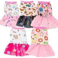 Dog Dress for Female Cat &amp; Dog Skirt Puppy Cute Princess Skirt Pet Clothes for Shih Tzu S-XL Dresses