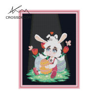 CROSSDECOR Cross Stitch Kits with Cartoon Pattern And Instructions Embroidery Kit For Adults Beginners Cross Stitch Arts and Crafts for Home Decor (Ra